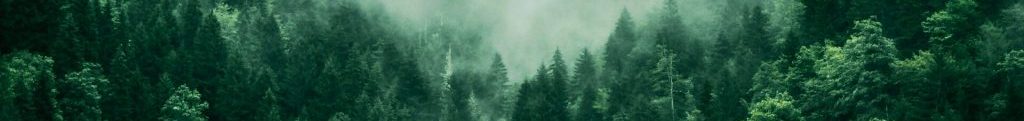 footer-cta-1024x302.jpg